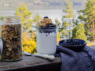 Joghurt mit Blaubeer-Granla-Top in einem Glas neben einer Schale mit Blauberren auf einer Holzbohle vor einem See mit Bäumen.